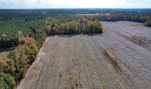 Photo #8 of SOLD property in Off Martin Luther King Hwy, Waverly, VA 77.0 acres