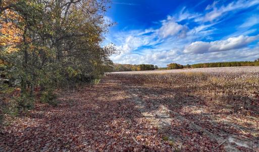 Photo #9 of SOLD property in Off Martin Luther King Hwy, Waverly, VA 77.0 acres