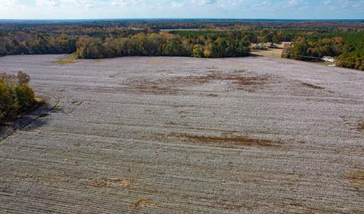 Photo #10 of SOLD property in Off Martin Luther King Hwy, Waverly, VA 77.0 acres