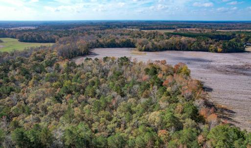 Photo #12 of SOLD property in Off Martin Luther King Hwy, Waverly, VA 77.0 acres