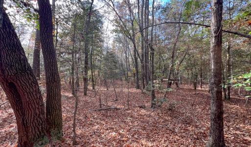 Photo #13 of SOLD property in Off Martin Luther King Hwy, Waverly, VA 77.0 acres