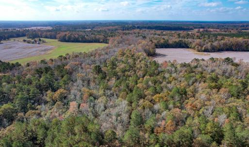 Photo #17 of SOLD property in Off Martin Luther King Hwy, Waverly, VA 77.0 acres