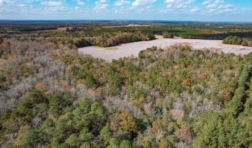 Photo #18 of SOLD property in Off Martin Luther King Hwy, Waverly, VA 77.0 acres