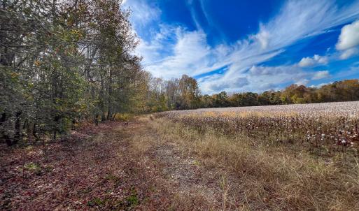 Photo #21 of SOLD property in Off Martin Luther King Hwy, Waverly, VA 77.0 acres