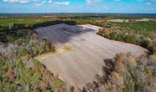 Photo #22 of SOLD property in Off Martin Luther King Hwy, Waverly, VA 77.0 acres