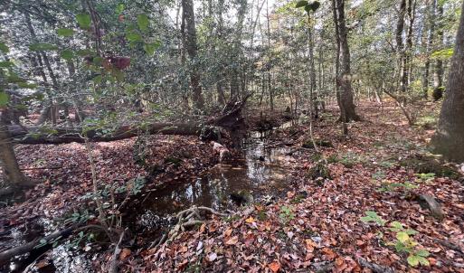 Photo #23 of SOLD property in Off Martin Luther King Hwy, Waverly, VA 77.0 acres