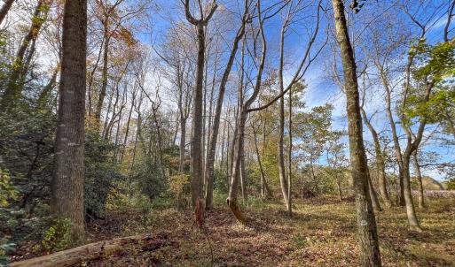 Photo #24 of SOLD property in Off Martin Luther King Hwy, Waverly, VA 77.0 acres