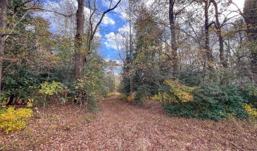 Photo #27 of SOLD property in Off Martin Luther King Hwy, Waverly, VA 77.0 acres