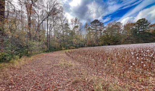 Photo #28 of SOLD property in Off Martin Luther King Hwy, Waverly, VA 77.0 acres