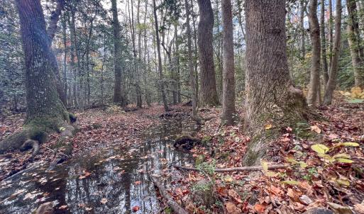 Photo #29 of SOLD property in Off Martin Luther King Hwy, Waverly, VA 77.0 acres