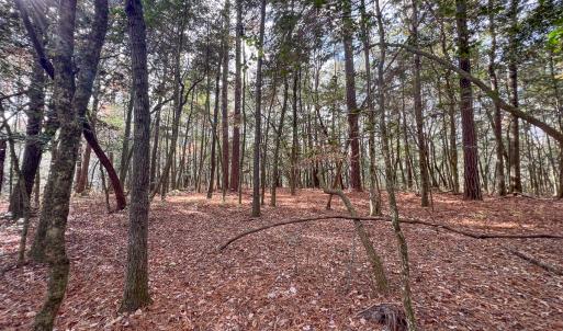 Photo #31 of SOLD property in Off Martin Luther King Hwy, Waverly, VA 77.0 acres