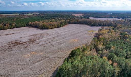 Photo #36 of SOLD property in Off Martin Luther King Hwy, Waverly, VA 77.0 acres