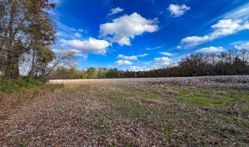 Photo #37 of SOLD property in Off Martin Luther King Hwy, Waverly, VA 77.0 acres