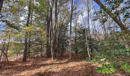 Photo #39 of SOLD property in Off Martin Luther King Hwy, Waverly, VA 77.0 acres