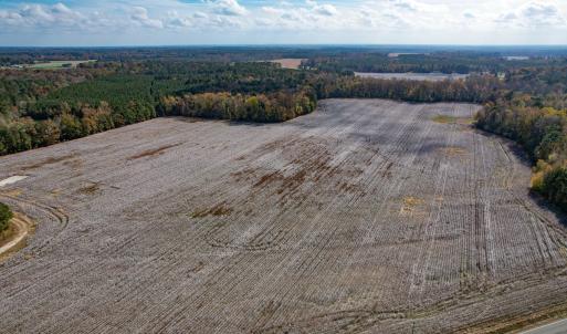Photo #42 of SOLD property in Off Martin Luther King Hwy, Waverly, VA 77.0 acres