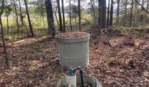 Photo #45 of SOLD property in Off Martin Luther King Hwy, Waverly, VA 77.0 acres