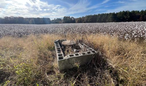 Photo #47 of SOLD property in Off Martin Luther King Hwy, Waverly, VA 77.0 acres
