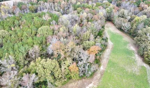 Photo #8 of SOLD property in Off Highway 903, Oak City, NC 20.7 acres