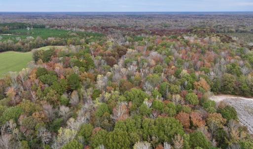 Photo #10 of SOLD property in Off Highway 903, Oak City, NC 20.7 acres