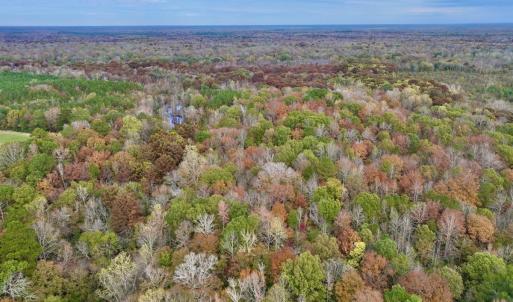 Photo #11 of SOLD property in Off Highway 903, Oak City, NC 20.7 acres