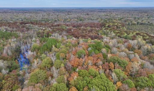 Photo #12 of SOLD property in Off Highway 903, Oak City, NC 20.7 acres