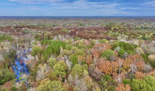 Photo #14 of SOLD property in Off Highway 903, Oak City, NC 20.7 acres