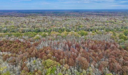 Photo #15 of SOLD property in Off Highway 903, Oak City, NC 20.7 acres