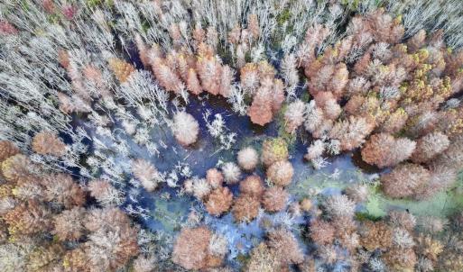 Photo #16 of SOLD property in Off Highway 903, Oak City, NC 20.7 acres