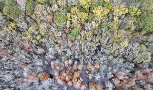 Photo #17 of SOLD property in Off Highway 903, Oak City, NC 20.7 acres