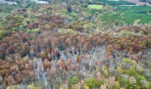 Photo #18 of SOLD property in Off Highway 903, Oak City, NC 20.7 acres