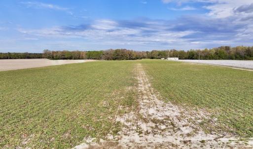 Photo #1 of SOLD property in Off Highway 903, Oak City, NC 20.7 acres