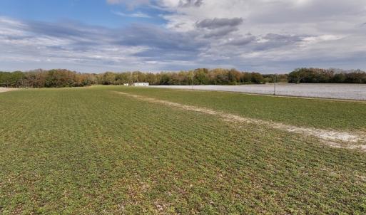 Photo #2 of SOLD property in Off Highway 903, Oak City, NC 20.7 acres