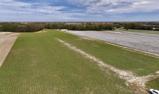 Photo #3 of SOLD property in Off Highway 903, Oak City, NC 20.7 acres