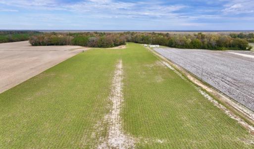 Photo #4 of SOLD property in Off Highway 903, Oak City, NC 20.7 acres