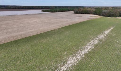 Photo #5 of SOLD property in Off Highway 903, Oak City, NC 20.7 acres