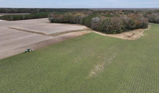 Photo #6 of SOLD property in Off Highway 903, Oak City, NC 20.7 acres