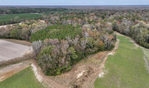 Photo #7 of SOLD property in Off Highway 903, Oak City, NC 20.7 acres