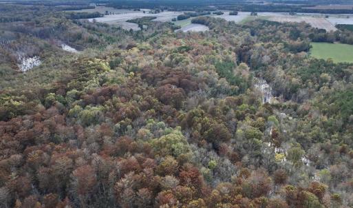 Photo #19 of SOLD property in Off Highway 903, Oak City, NC 20.7 acres