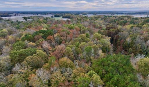 Photo #20 of SOLD property in Off Highway 903, Oak City, NC 20.7 acres