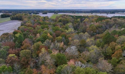Photo #21 of SOLD property in Off Highway 903, Oak City, NC 20.7 acres