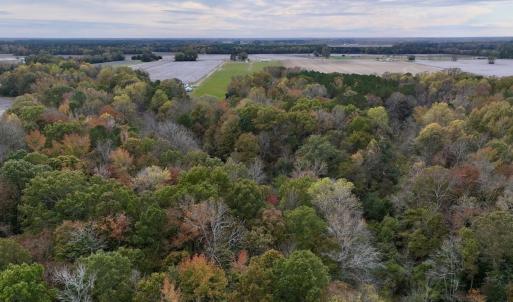 Photo #22 of SOLD property in Off Highway 903, Oak City, NC 20.7 acres