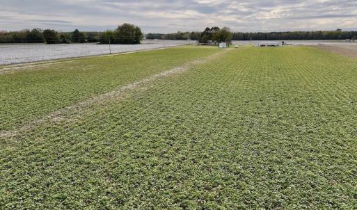 Photo #28 of SOLD property in Off Highway 903, Oak City, NC 20.7 acres