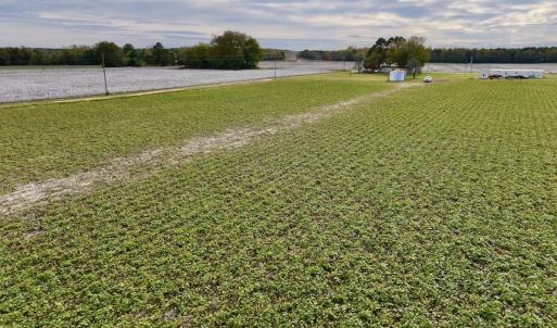 Photo #29 of SOLD property in Off Highway 903, Oak City, NC 20.7 acres