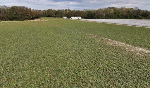 Photo #30 of SOLD property in Off Highway 903, Oak City, NC 20.7 acres