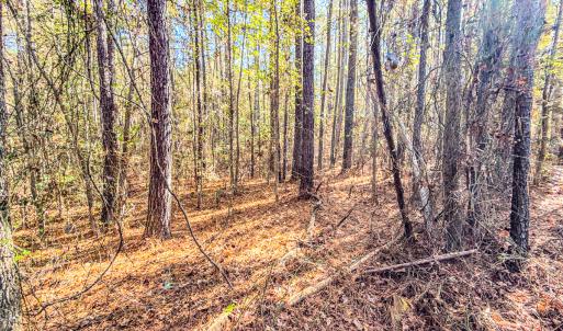 Photo #11 of SOLD property in 265 Aiken Rd., Vass, NC 7.0 acres