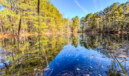 Photo #14 of SOLD property in 265 Aiken Rd., Vass, NC 7.0 acres