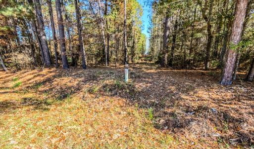 Photo #15 of SOLD property in 265 Aiken Rd., Vass, NC 7.0 acres