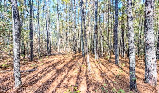 Photo #16 of SOLD property in 265 Aiken Rd., Vass, NC 7.0 acres