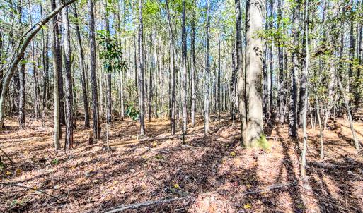 Photo #17 of SOLD property in 265 Aiken Rd., Vass, NC 7.0 acres