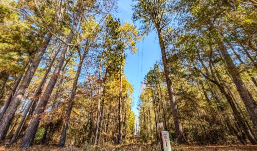 Photo #27 of SOLD property in 265 Aiken Rd., Vass, NC 7.0 acres
